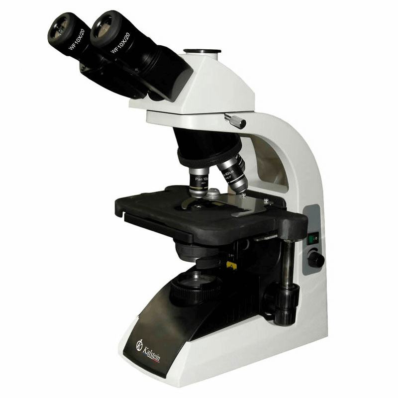 Technical Comparison of Microscope Trinocular YR0243 and YR0244