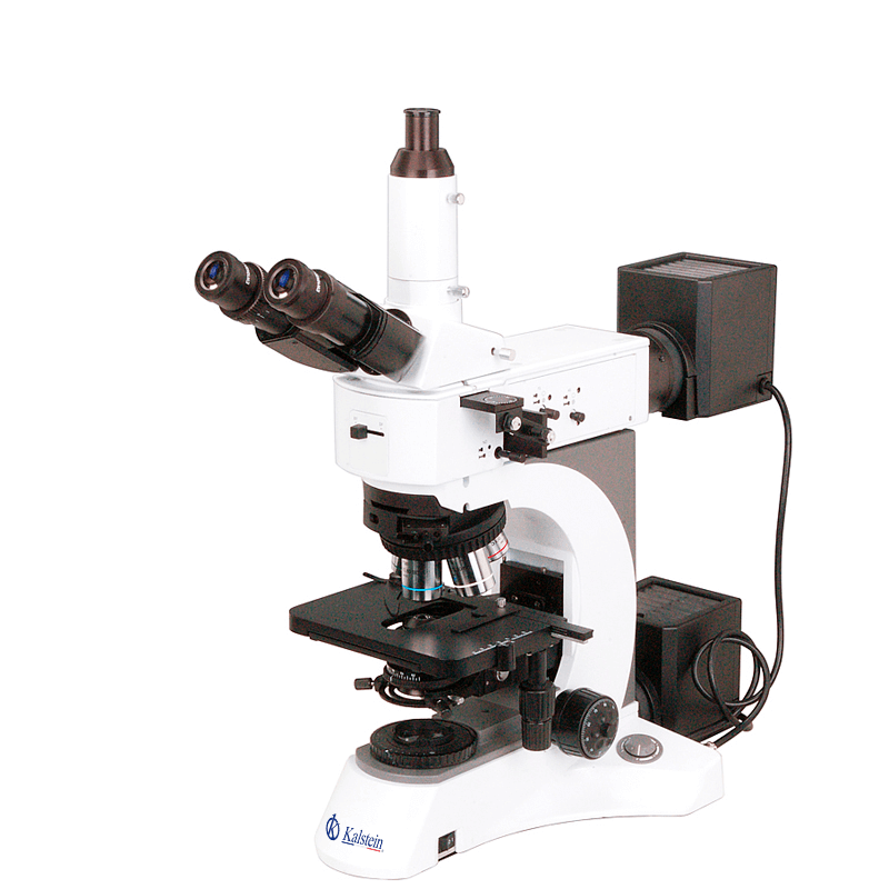 Common Errors and Troubleshooting by Symptoms for the YR0255 Microscope