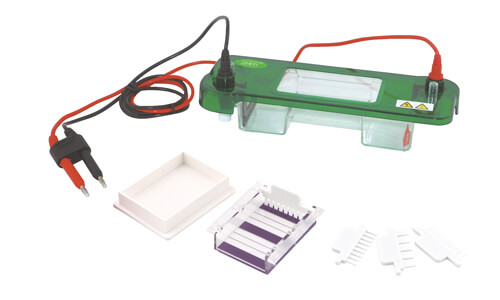Understanding Predictive Maintenance and Recommended Calibration for Horizontal Electrophoresis Systems