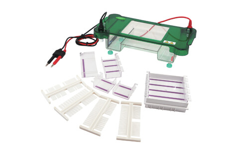 Customizing Your YR03417 Horizontal Electrophoresis: Accessories and Advanced Configurations
