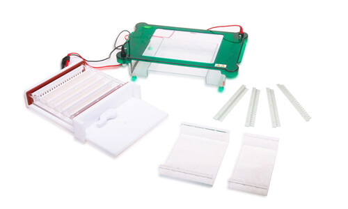 Customization and Accessories for the YR03420 Electrophoresis Unit