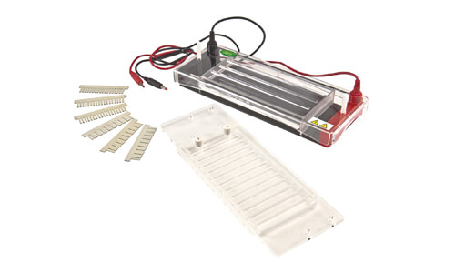 Customization and Advanced Configurations of the YR03422 Horizontal Electrophoresis System