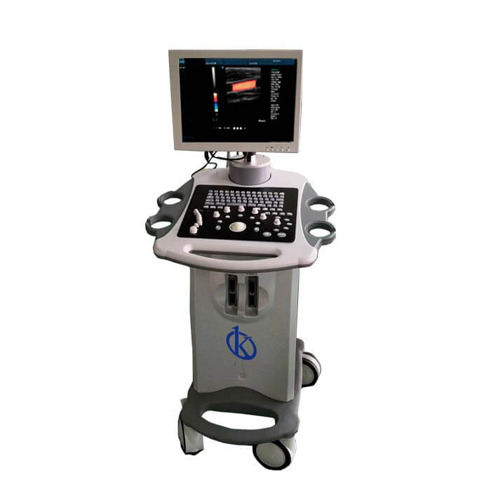 Understanding the Warranty and Expected Lifespan of the YR05153 Portable Ultrasound Scanner