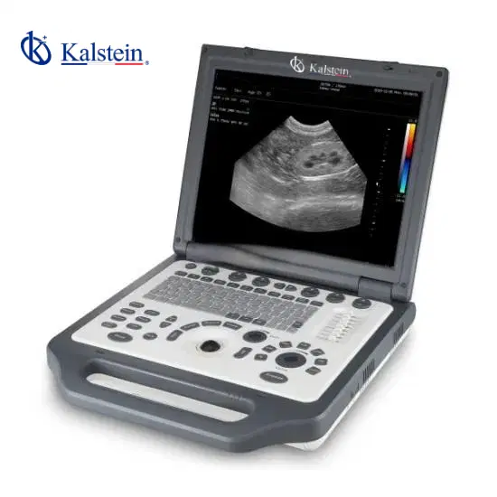Maximizing ROI and Cost-Benefit Analysis for Veterinary Color Doppler Systems