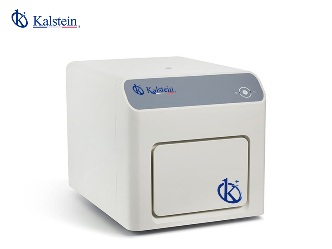 How to Interpret Results and Read Measurements with the YR06248 Real-time PCR System