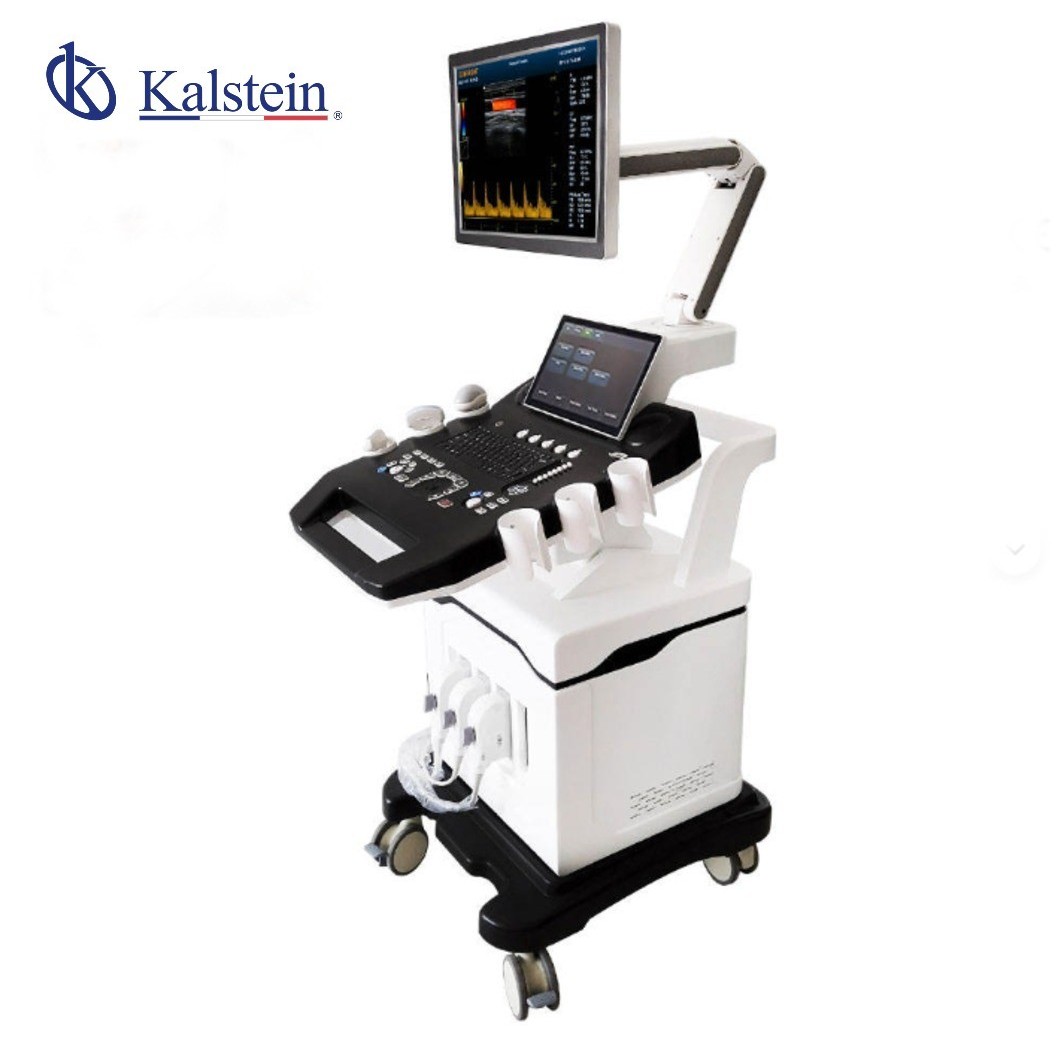 Interpreting Results and Measurement Readings with the YR06635 Ultrasound Scanner