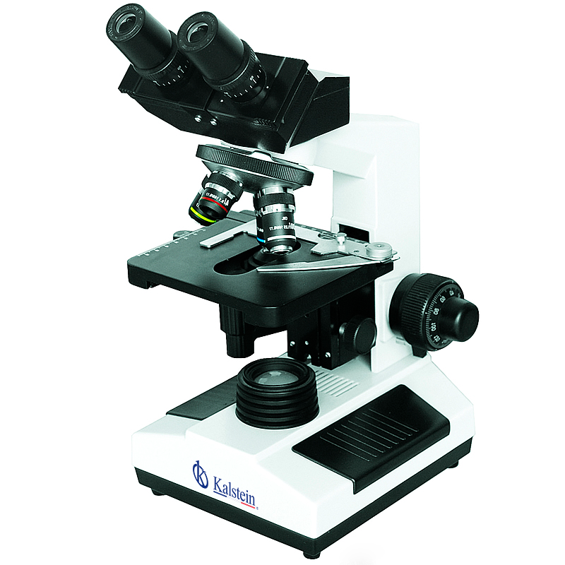 Microscope: Halogen vs. LED