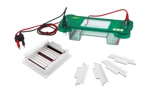 What is electrophoresis?