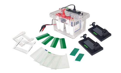 Electrophoresis and Gel Documentation Systems