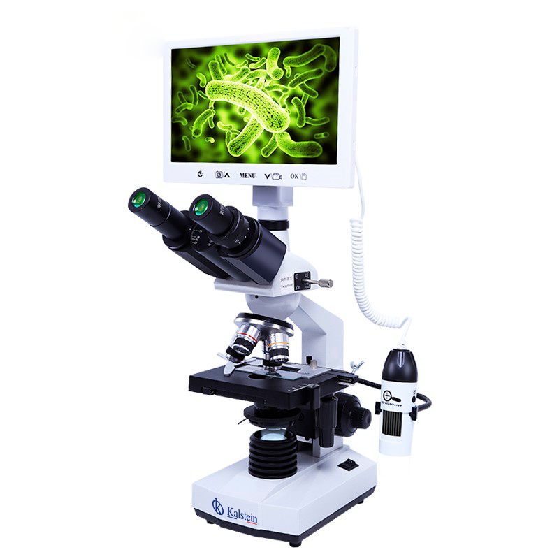 How to remove fungi from our microscopes?