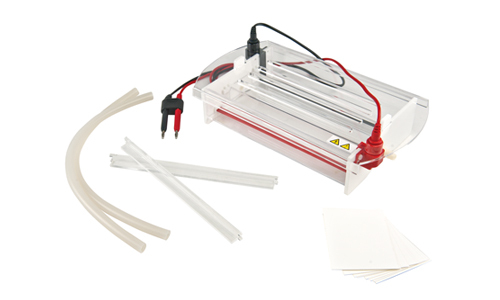 Electrophoresis: what are the necessary reagents?