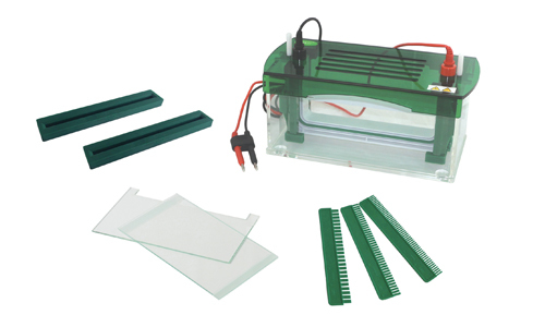 Electrophoresis Run Power Sources