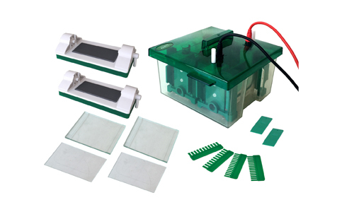 Electrophoresis Applications