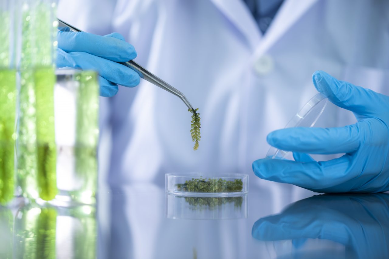 Importance of a Fluorometer in a Laboratory