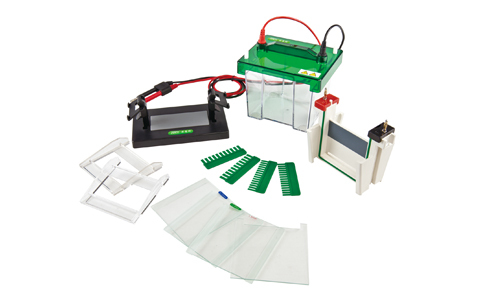 Electrophoresis equipment: What are its types and applications?