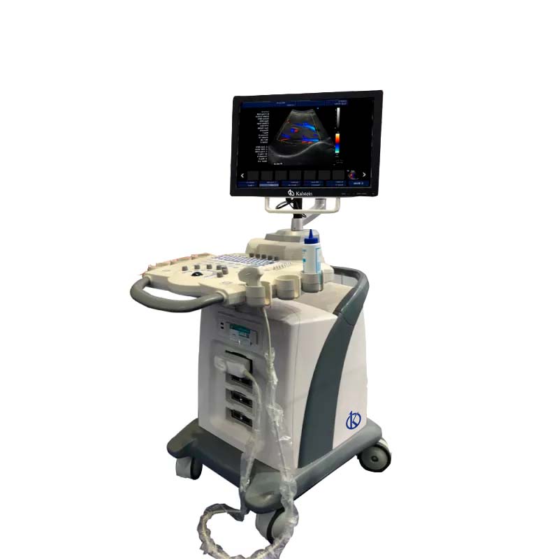 Use of Ultrasound Scanner in the Diagnosis of Kidney Diseases