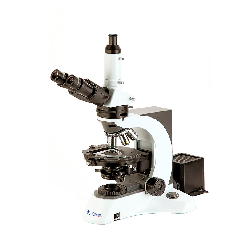 Microscopes by Kalstein: Precision and Innovation at Your Fingertips