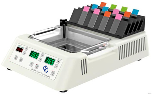 Unlocking Precision in Pathology: A Comprehensive Guide to Tissue Flotation