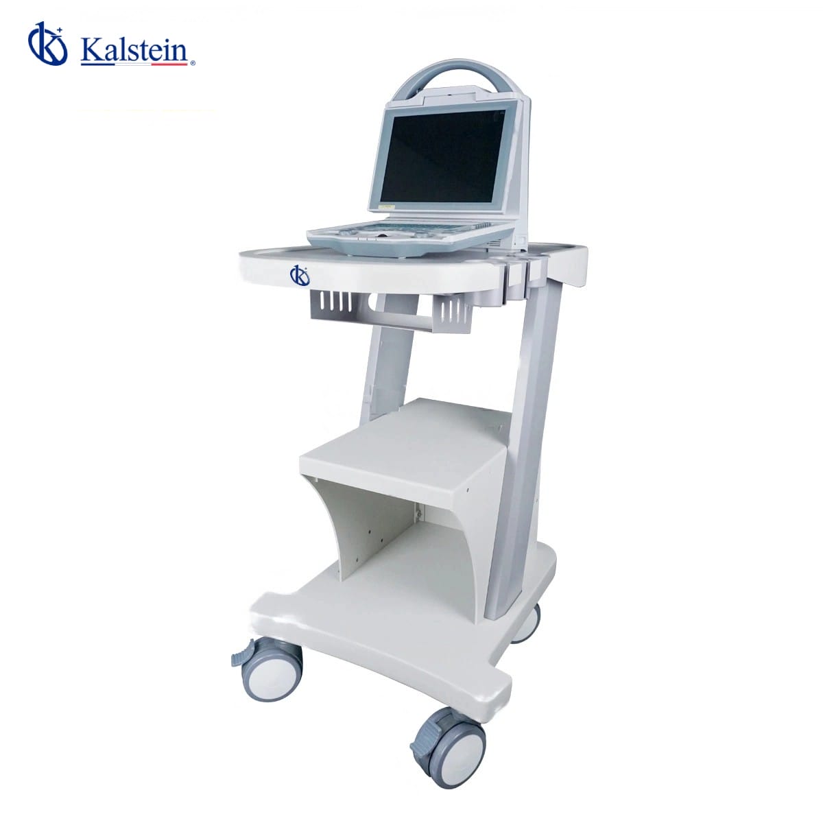 The Evolution of Pet Care: Exploring Veterinary Ultrasound by Kalstein