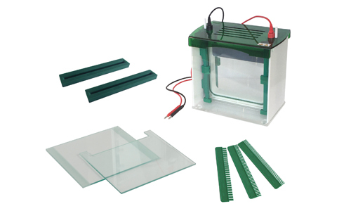 Essential Technology for Genetic and Protein Analysis