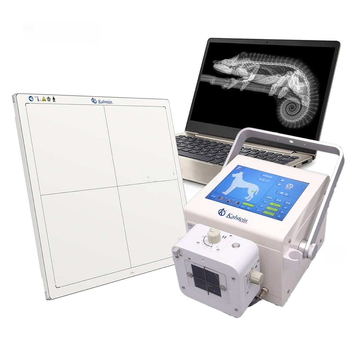 Kalstein Veterinary Radiography Equipment: A Synergy between Modern Technology and Exceptional Quality