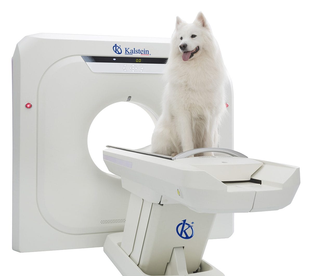 Exploring Veterinary CT Scanners: A New Era in Animal Diagnostic Imaging