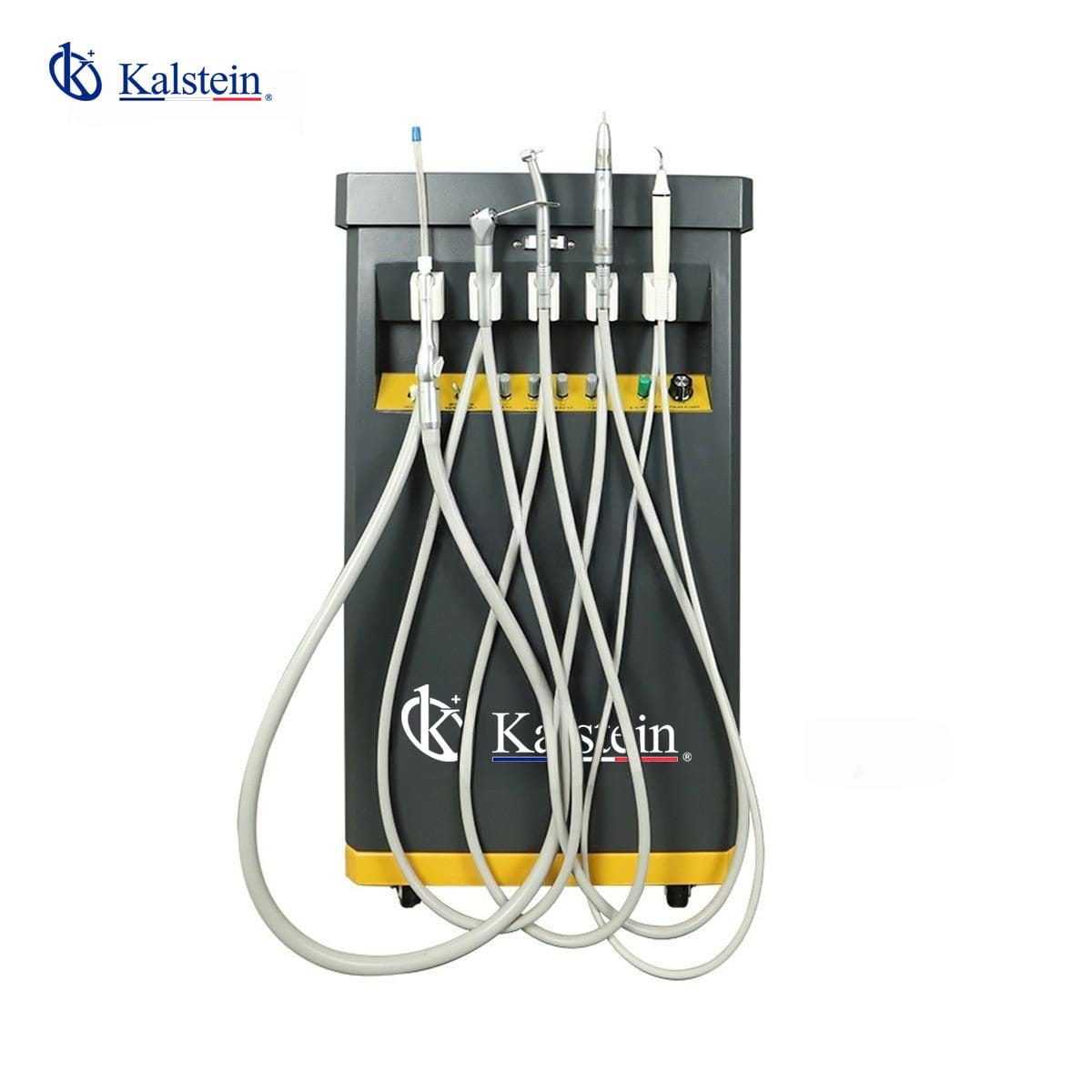 Exploring the Cutting-Edge World of Veterinary Dental Units: A Deep Dive into Kalstein's Offerings