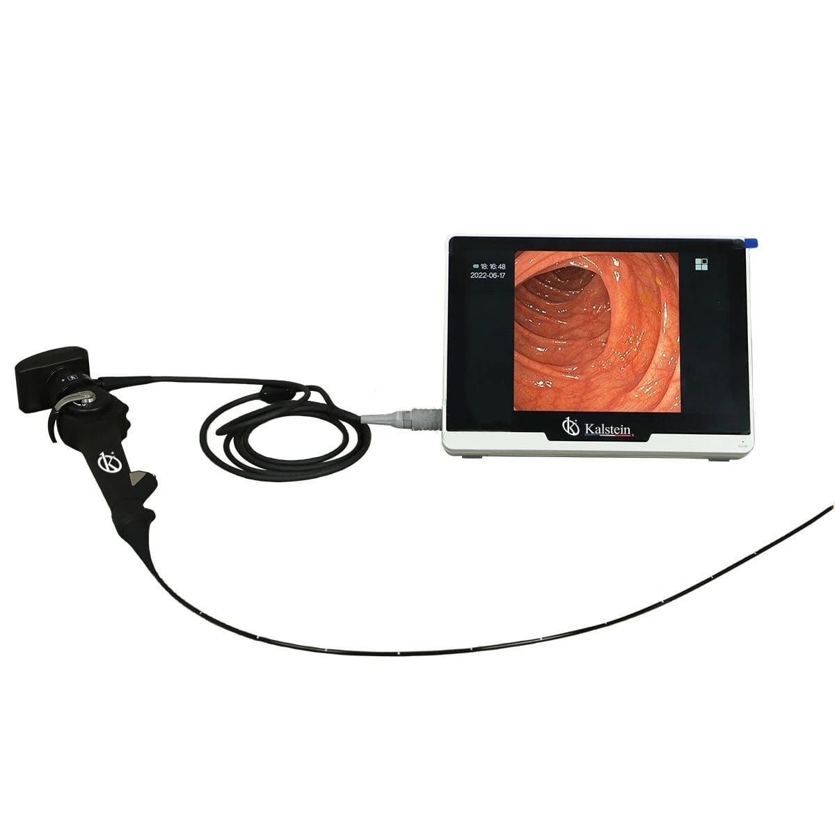 Exploring Kalstein's Veterinary Video Endoscopes: Technology at the Service of Animal Health