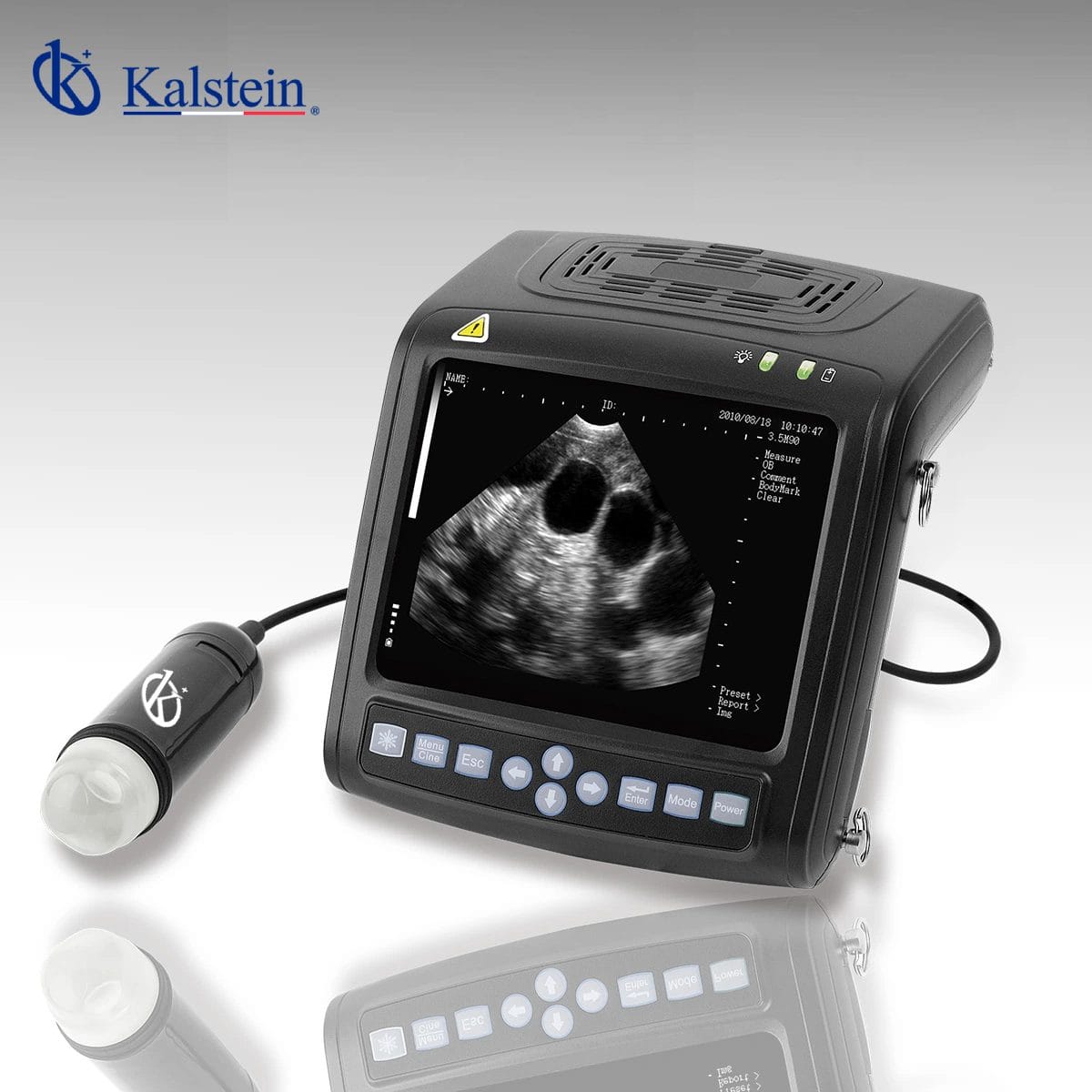 Superior Image Quality with Digital Veterinary Ultrasound