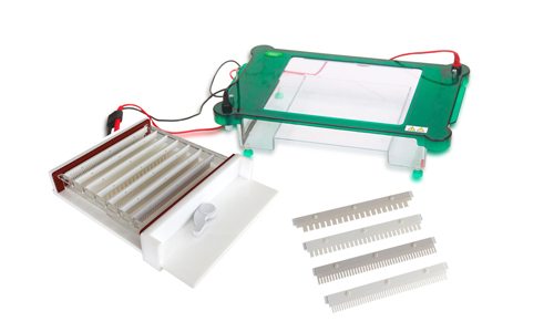 Horizontal Electrophoresis YR03421