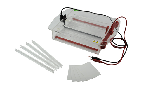 Cellulose Acetate Membrane Horizontal Electrophoresis YR03424