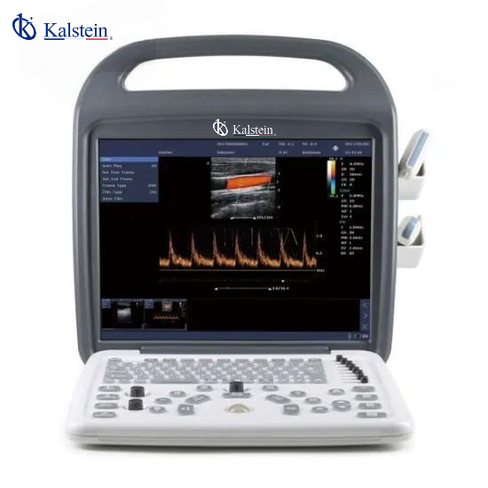 Revolutionizing Animal Care: Discover the Power of Veterinary Ultrasound