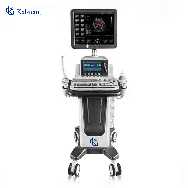 Veterinary Color Doppler
