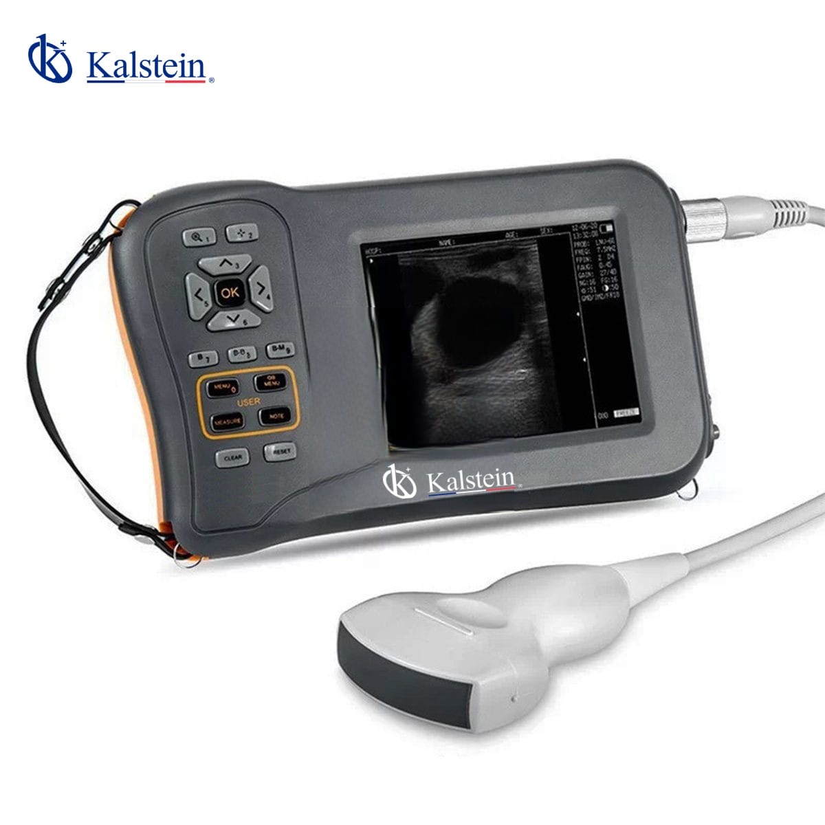 Veterinary Ultrasound