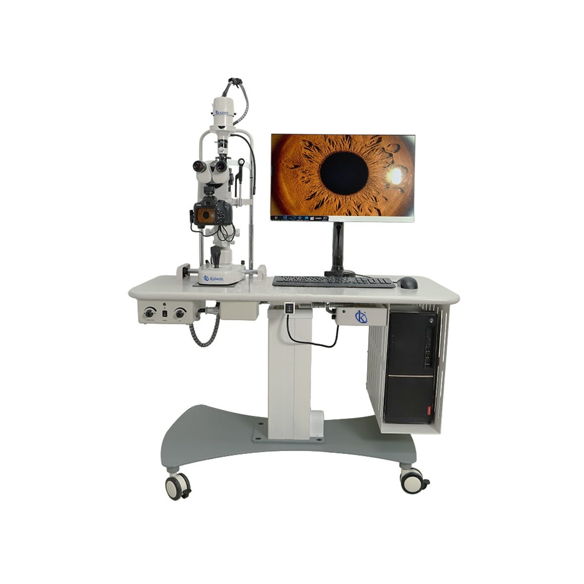 Veterinary Lamps