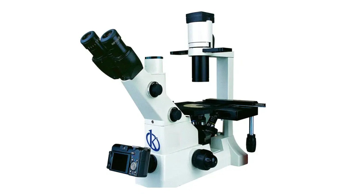 Practical Use of the Microscope Trinocular YR0245 in Laboratories